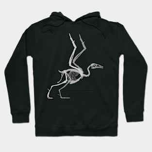 Yanornis Skeletal Hoodie